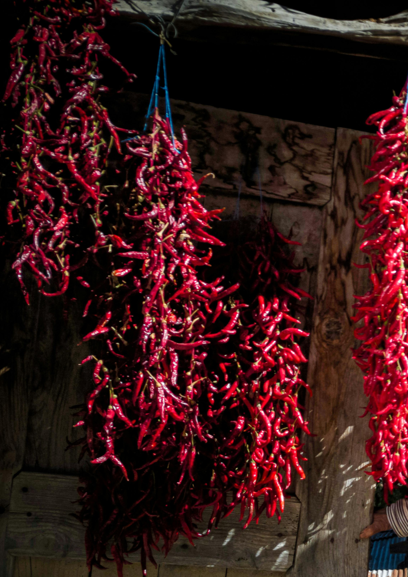 Salsiccia Lucana Oro Rosso Mild Scharf